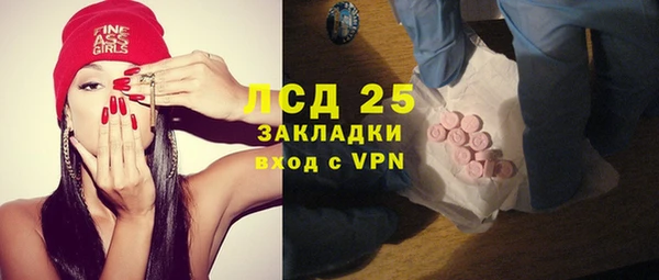 молекула духа Богданович