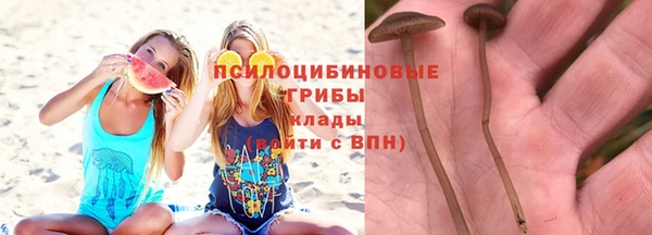 2c-b Богородицк