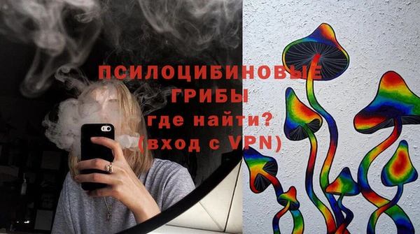 гидра Богородск