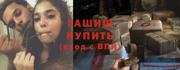 гидра Богородск
