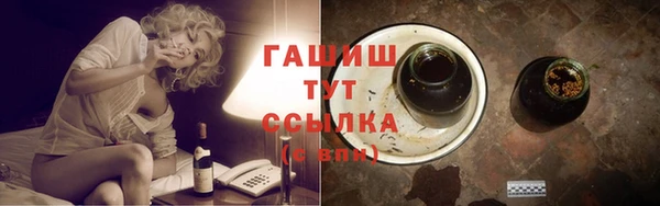 молекула духа Богданович