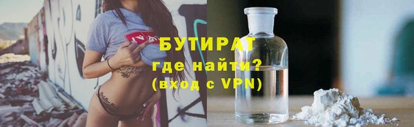 гидра Богородск