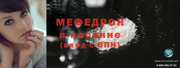 молекула духа Богданович