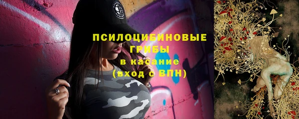 бошки Бугульма