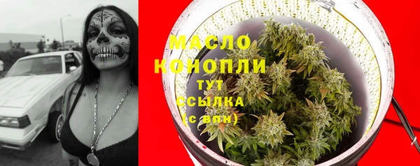 гидра Богородск
