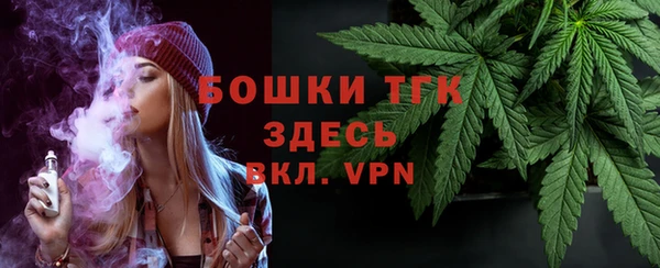 гидра Богородск