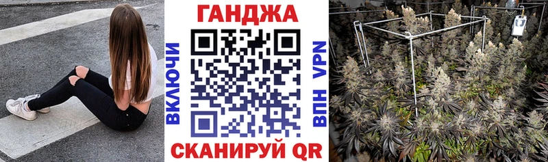 omg сайт  Дмитриев  МАРИХУАНА Ganja 